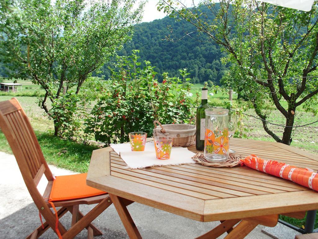 Apartments Bobi Tolmin Zewnętrze zdjęcie